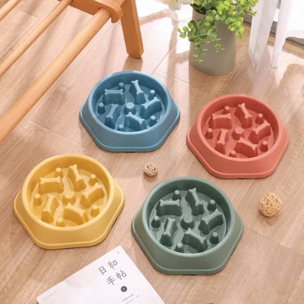 Multiple Colors Dog Slow Food Bowl