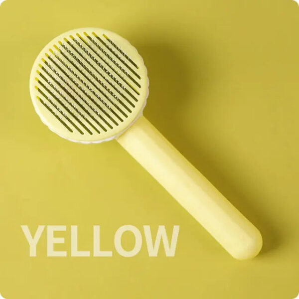 Cat Brush with Self-Cleaning Feature